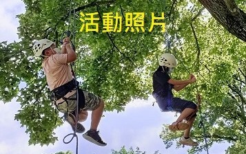 攀樹